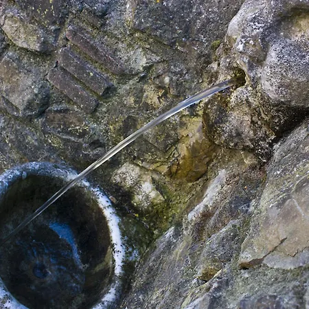 Fattoria Di Camporomano