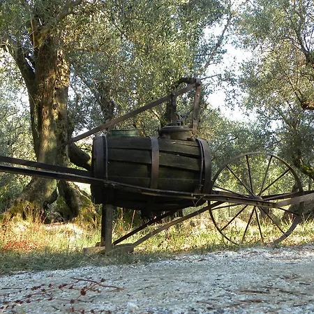 Fattoria Di Camporomano Farm stay Massarosa