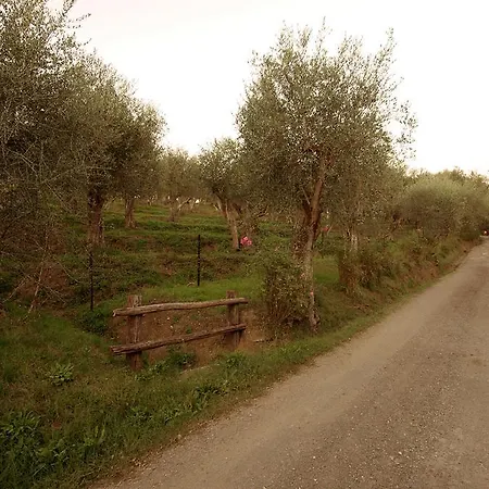 Farm stay Fattoria Di Camporomano *