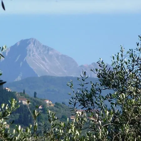 Vakantieboerderij Fattoria Di Camporomano Massarosa