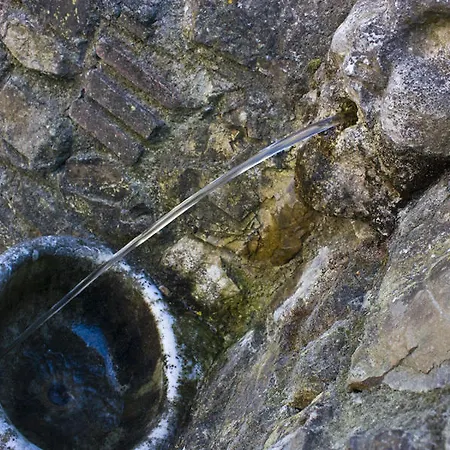 Fattoria Di Camporomano