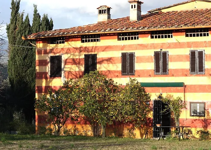 Fattoria Di Camporomano *