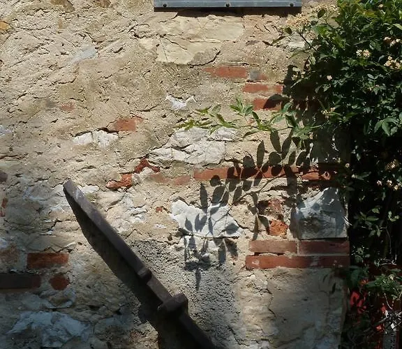 Fattoria Di Camporomano מסרוסה