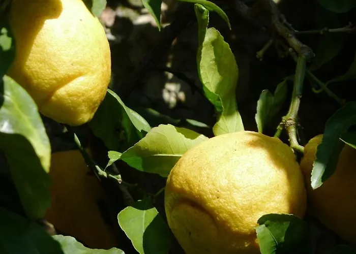 בית חווה Fattoria Di Camporomano *