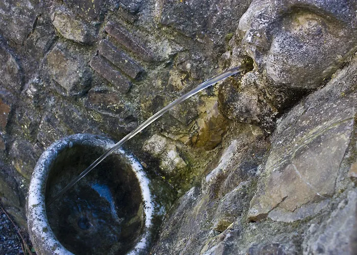Fattoria Di Camporomano